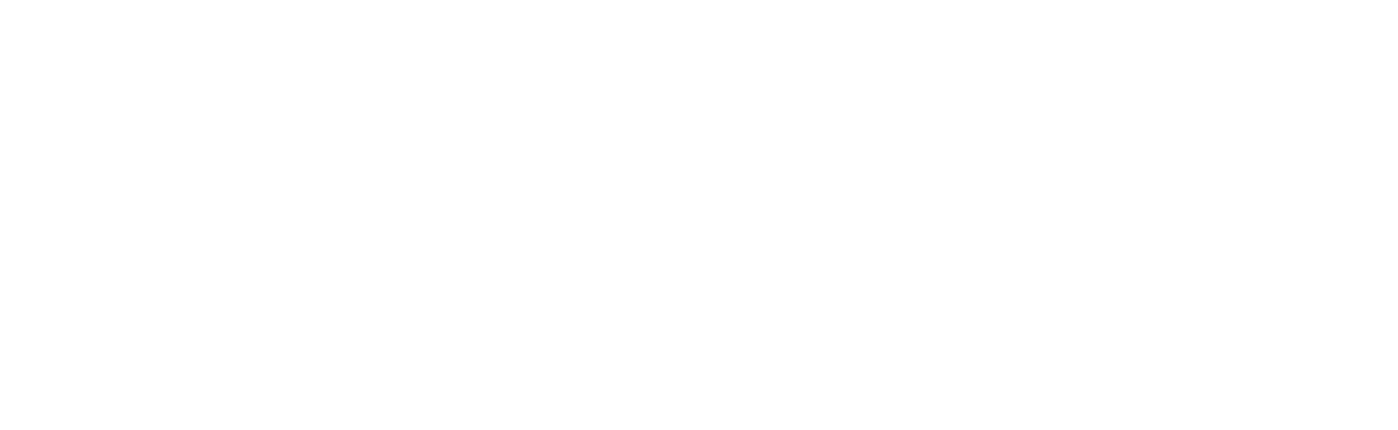 logo DID