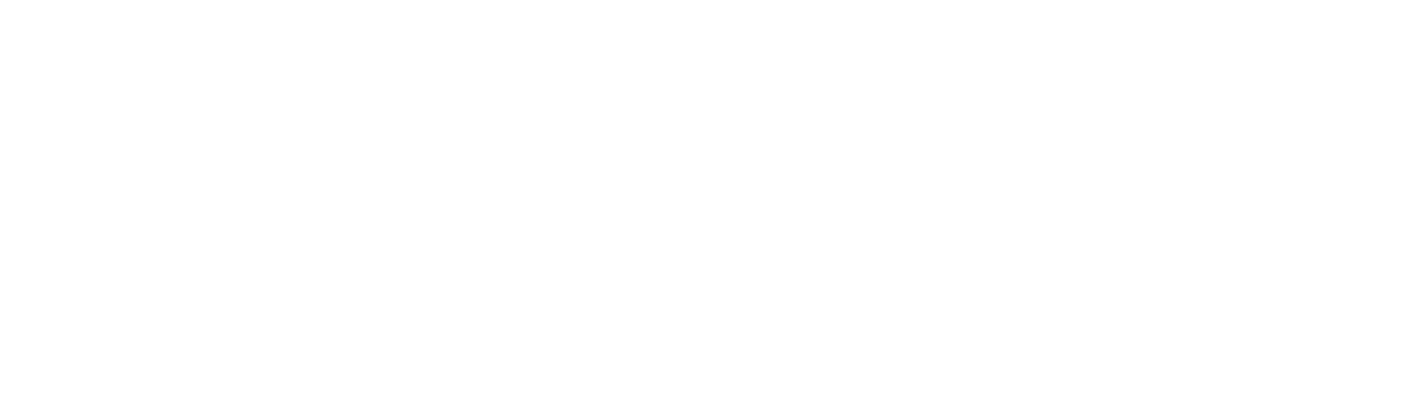 logo DID